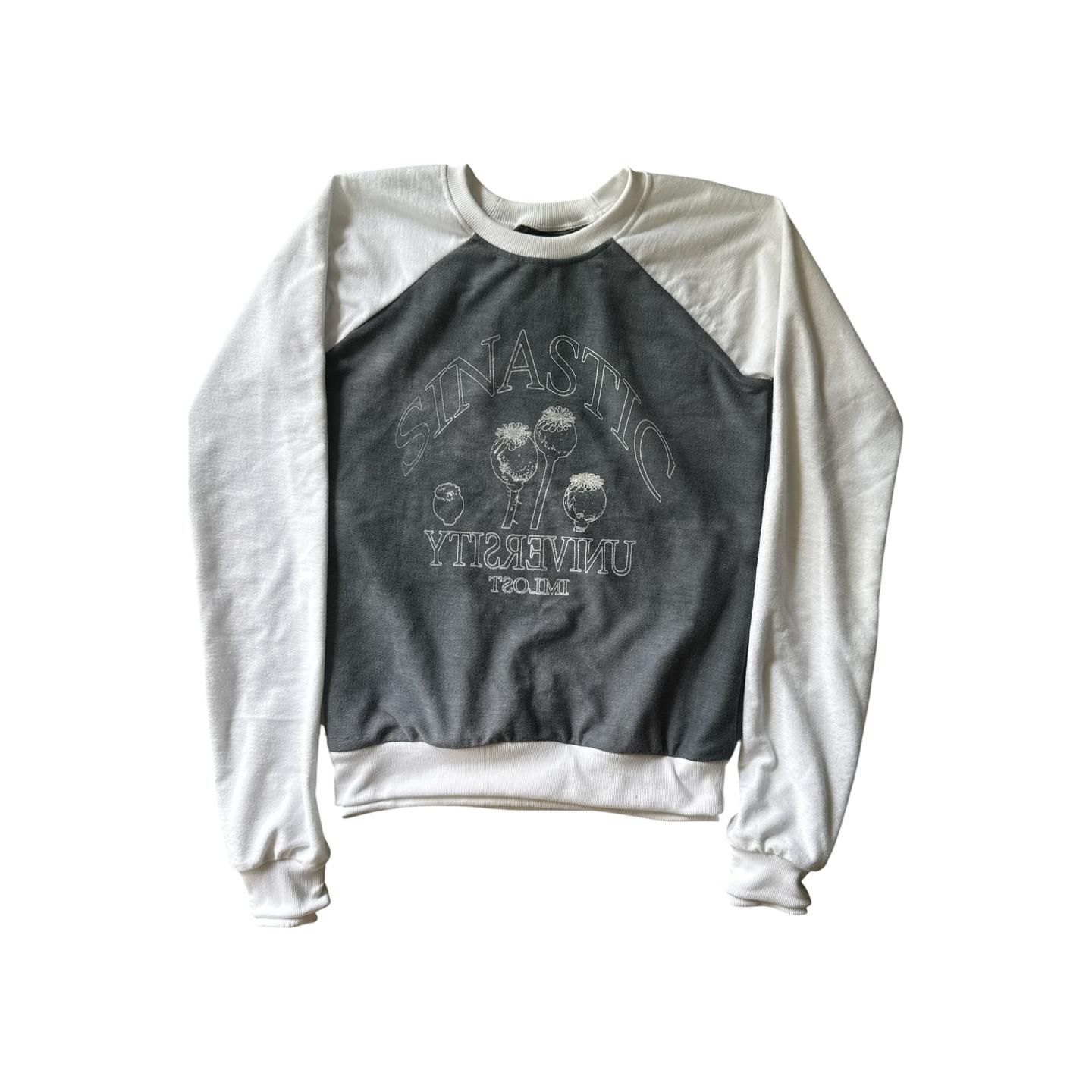 Sinastic university (Loss) Expperiment cutting sweater